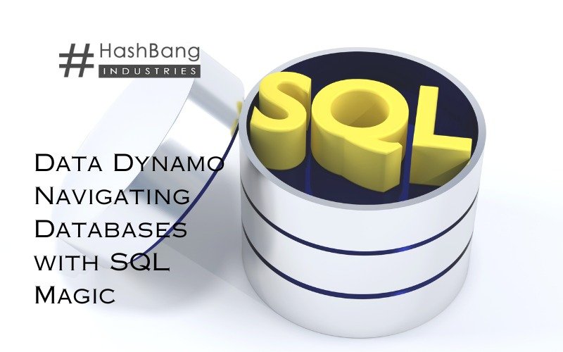 Data Dynamo Navigating Databases with SQL Magic